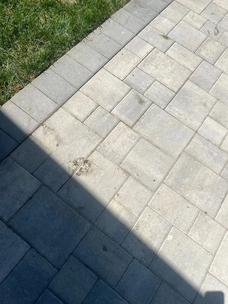 Trusted yard maintenance in Lawndale, CA - Delgados Landscape