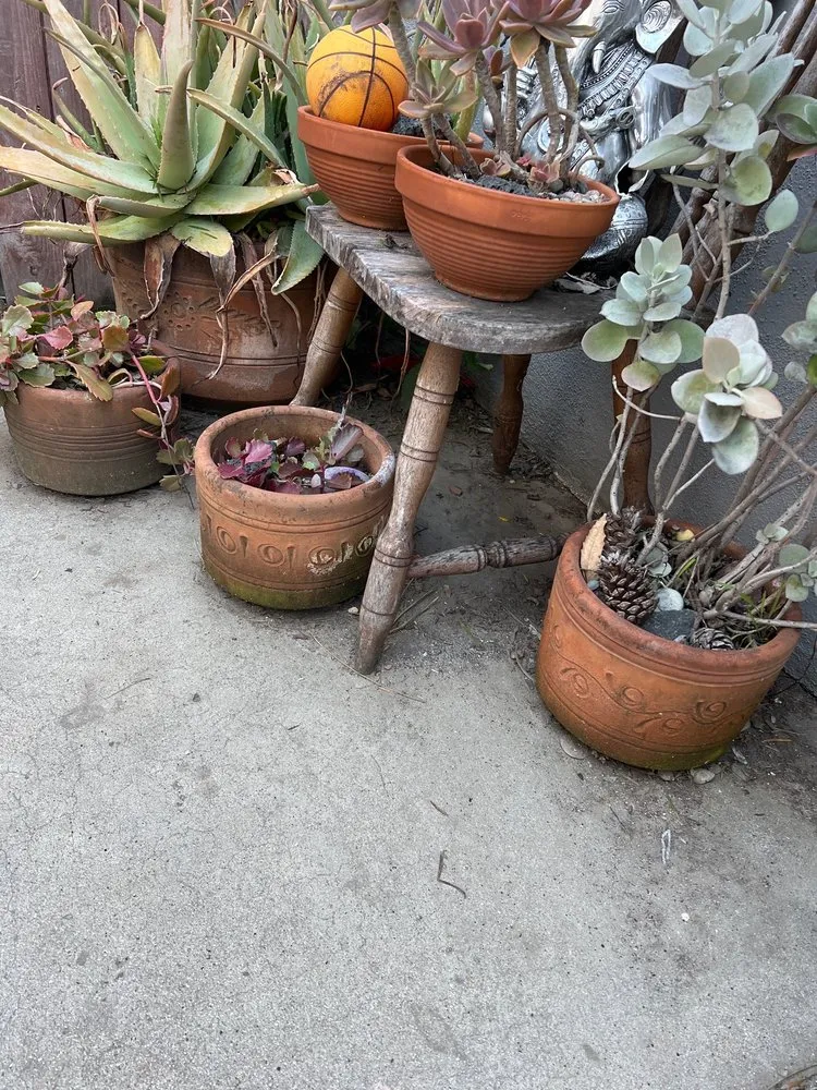 Trusted landscaping services in Lawndale, CA - Delgados Landscape