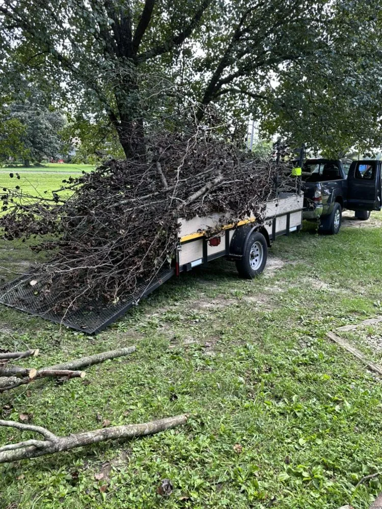 Expert yard maintenance for year-round maintenance across Greensboro, NC - Delgado's Landscaping