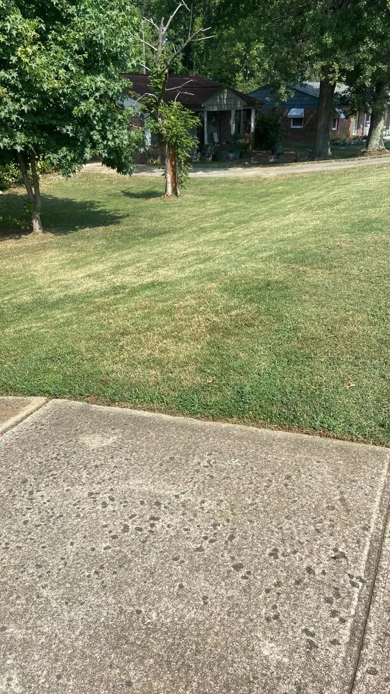 Trusted landscape design in Greensboro, NC - Delgado's Landscaping