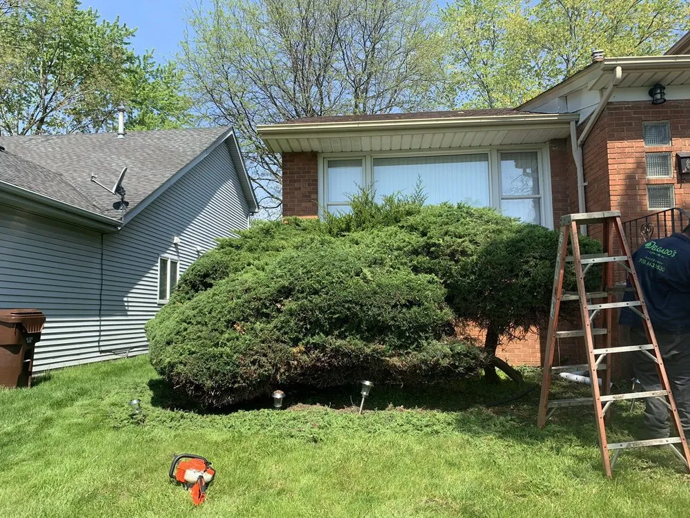 Affordable yard maintenance experts serving Crete, IL - Delgado’s Lawn Care