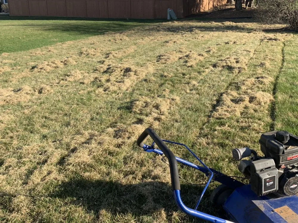 Custom garden landscaping near you across Crete, IL - Delgado’s Lawn Care