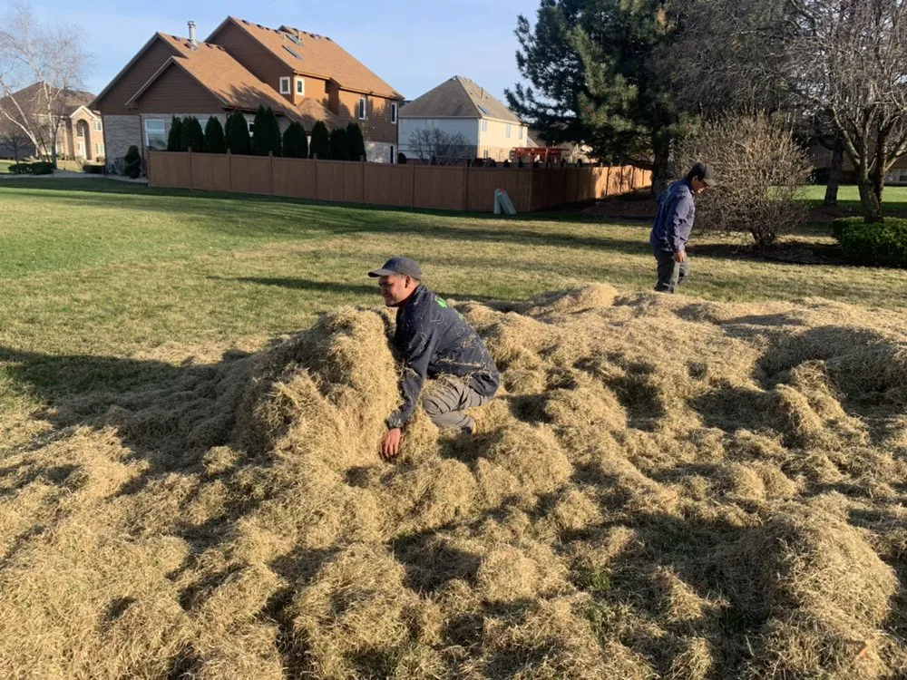 Expert landscape installation in Crete, IL - Delgado’s Lawn Care