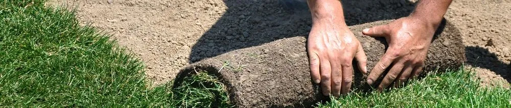 Professional residential landscaping in Livermore, CA - Delgado's Lawn