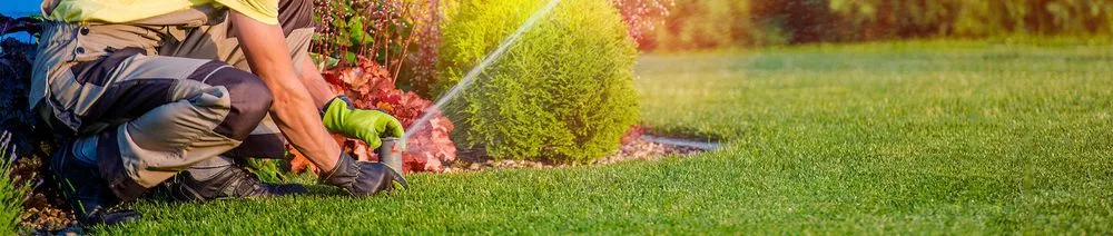 Local landscape installation in Livermore, CA - Delgado's Lawn
