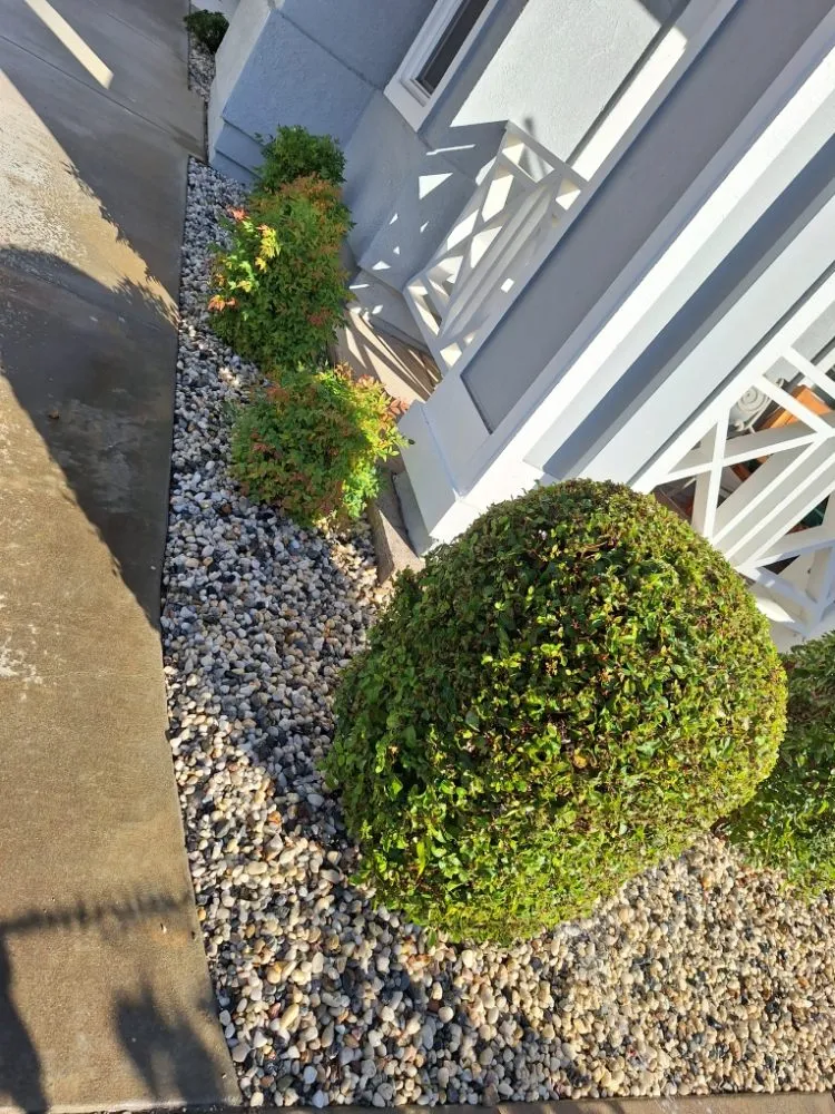 Professional landscaping services in Livermore, CA - Delgado's Lawn