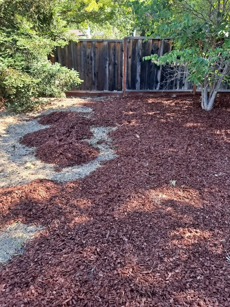Reliable landscape installation experts serving Livermore, CA - Delgado's Lawn