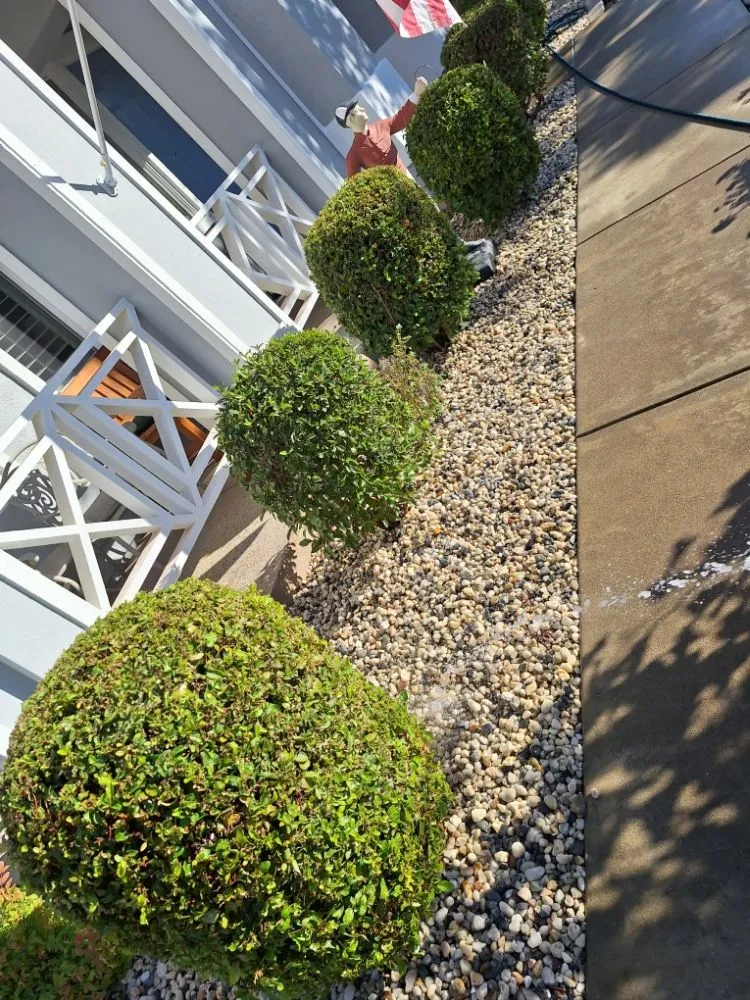 Expert yard maintenance experts serving Livermore, CA - Delgado's Lawn