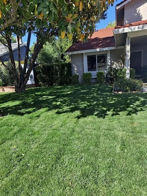 Reliable lawn mowing service for beautiful yards across Livermore, CA - Delgado's Lawn