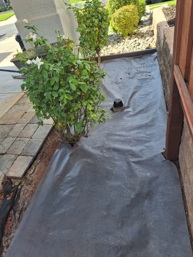 Top-rated residential landscaping for beautiful yards in Livermore, CA by Delgado's Lawn