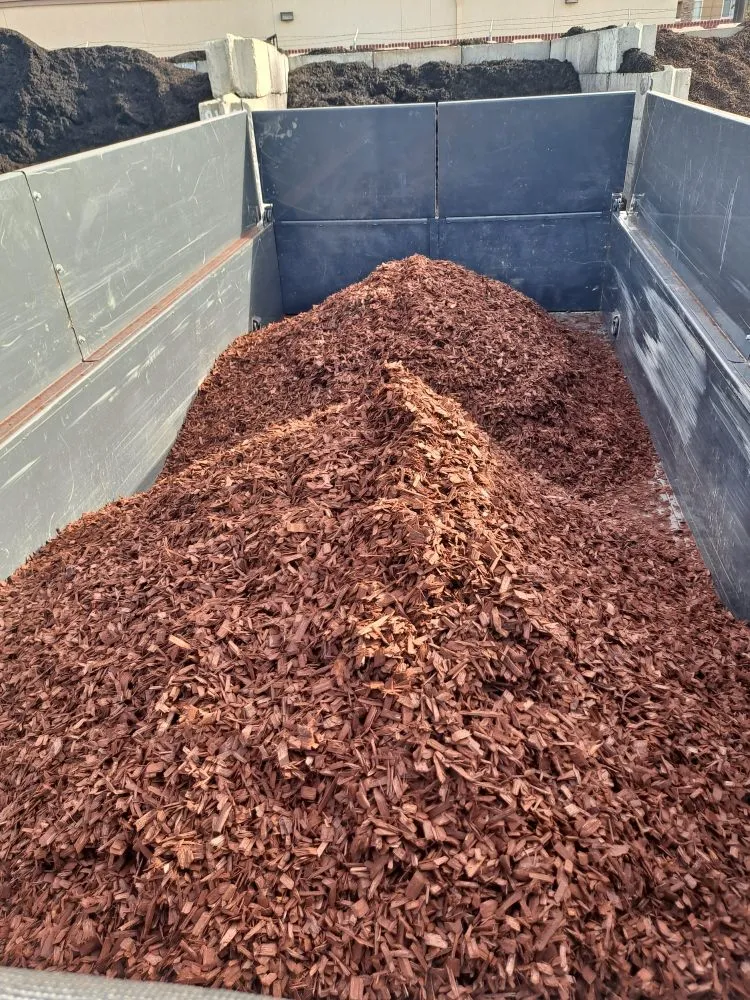 Expert yard cleanup service in Livermore, CA by Delgado's Lawn