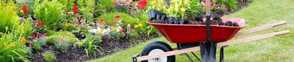 Top-rated lawn care service in Livermore, CA - Delgado's Lawn