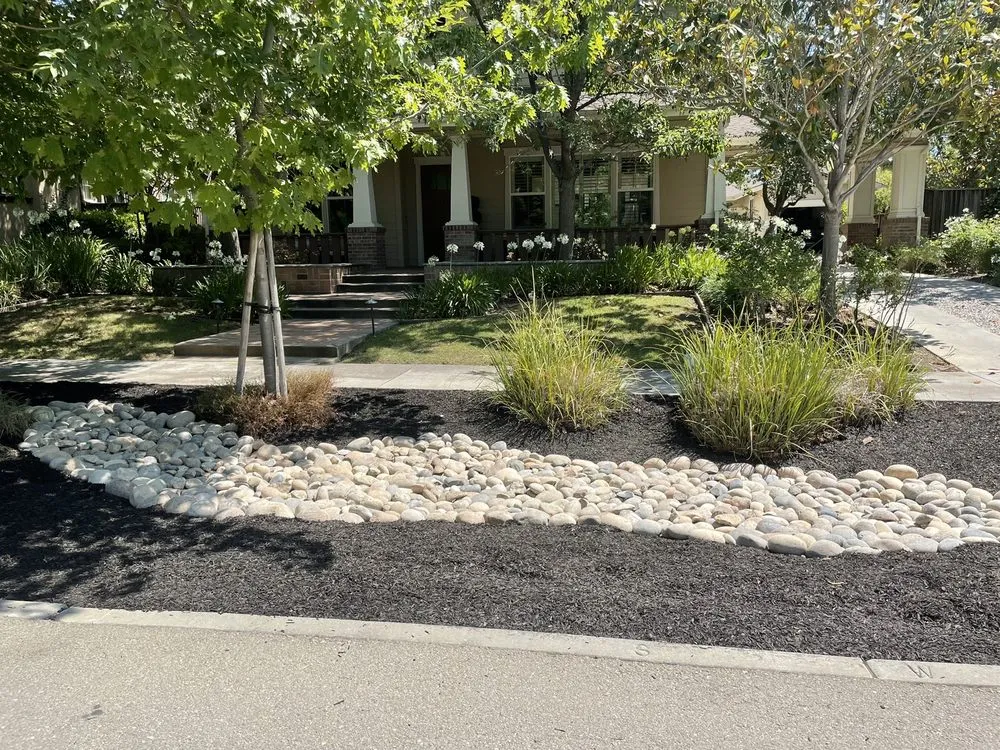 Trusted landscaping services in Livermore, CA by Delgado's Lawn
