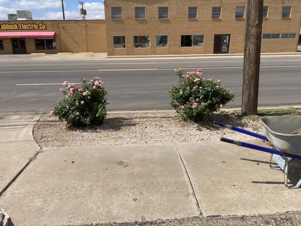 Custom yard cleanup service near you across Tahoka, TX - Delgados Remodeling & Landscaping