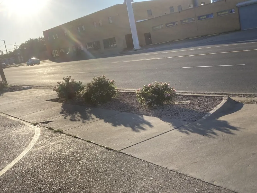 Professional yard cleanup service for residential properties across Tahoka, TX - Delgados Remodeling & Landscaping