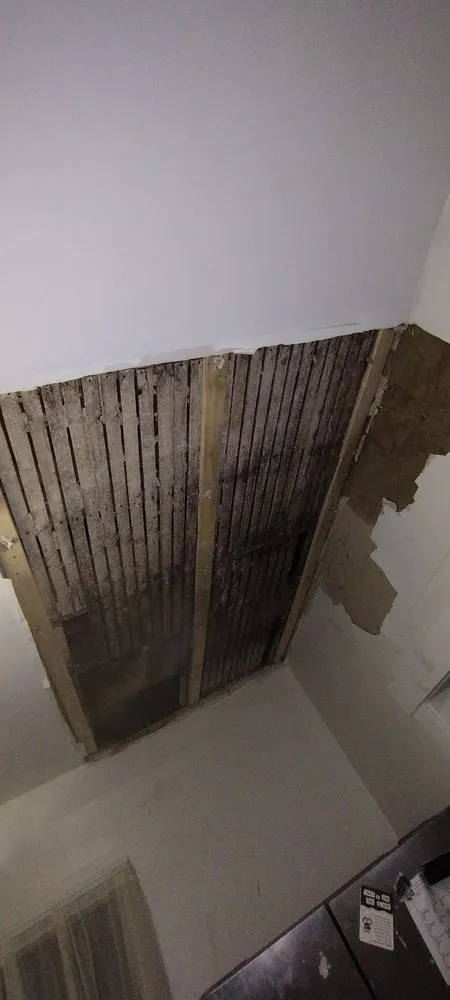 Custom residential landscaping for beautiful yards in Mingo Junction, OH by Delgallo's Property Maintenance