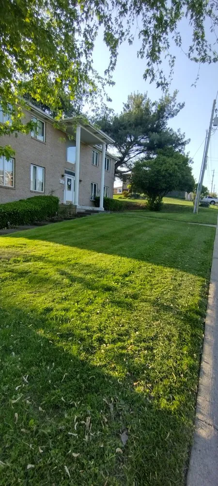 Expert yard cleanup service in Mingo Junction, OH by Delgallo's Property Maintenance