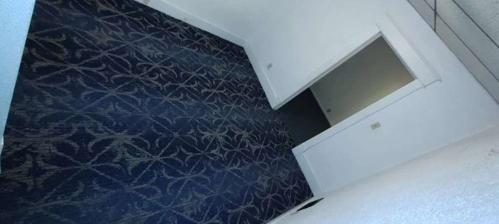 Local yard maintenance experts serving Mingo Junction, OH - Delgallo's Property Maintenance