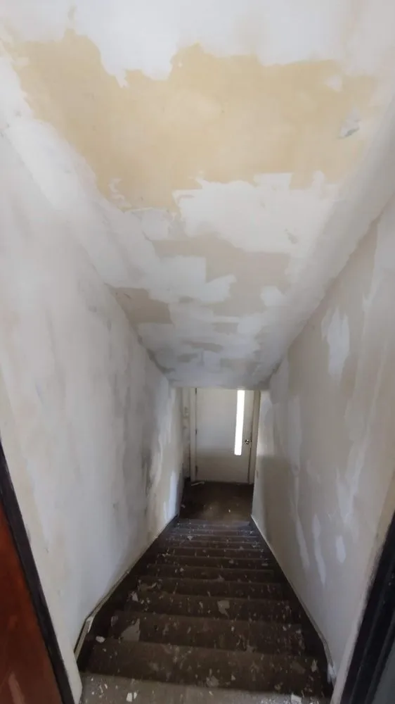 Affordable lawn care service experts serving Mingo Junction, OH - Delgallo's Property Maintenance