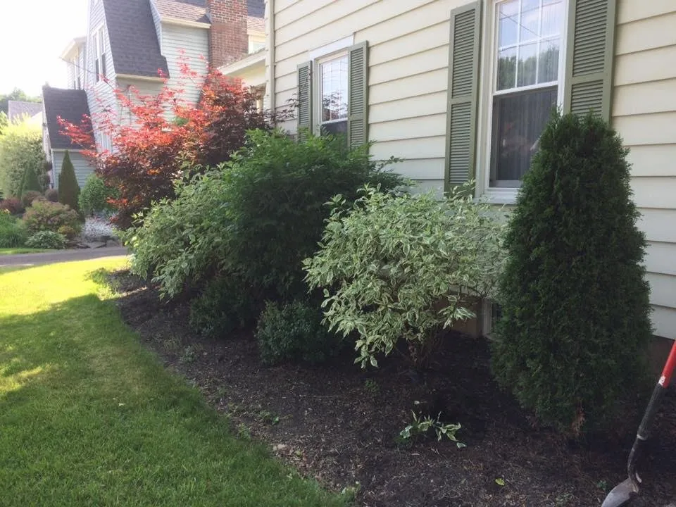 Trusted lawn care service in Sauquoit, NY by Delhi Landscaping