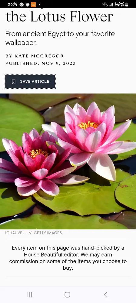 Local landscape design near you in Granite City, IL by Delicate Dollars