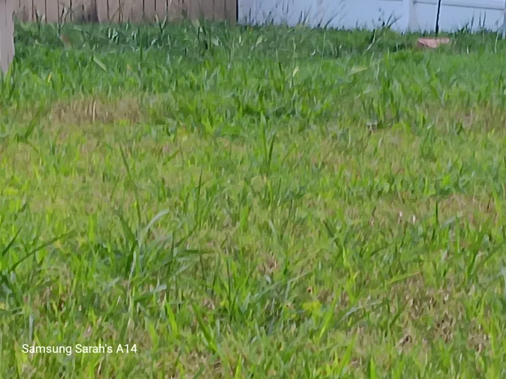 Trusted landscape design with custom design across Granite City, IL - Delicate Dollars