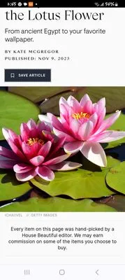 Delicate Dollars Logo