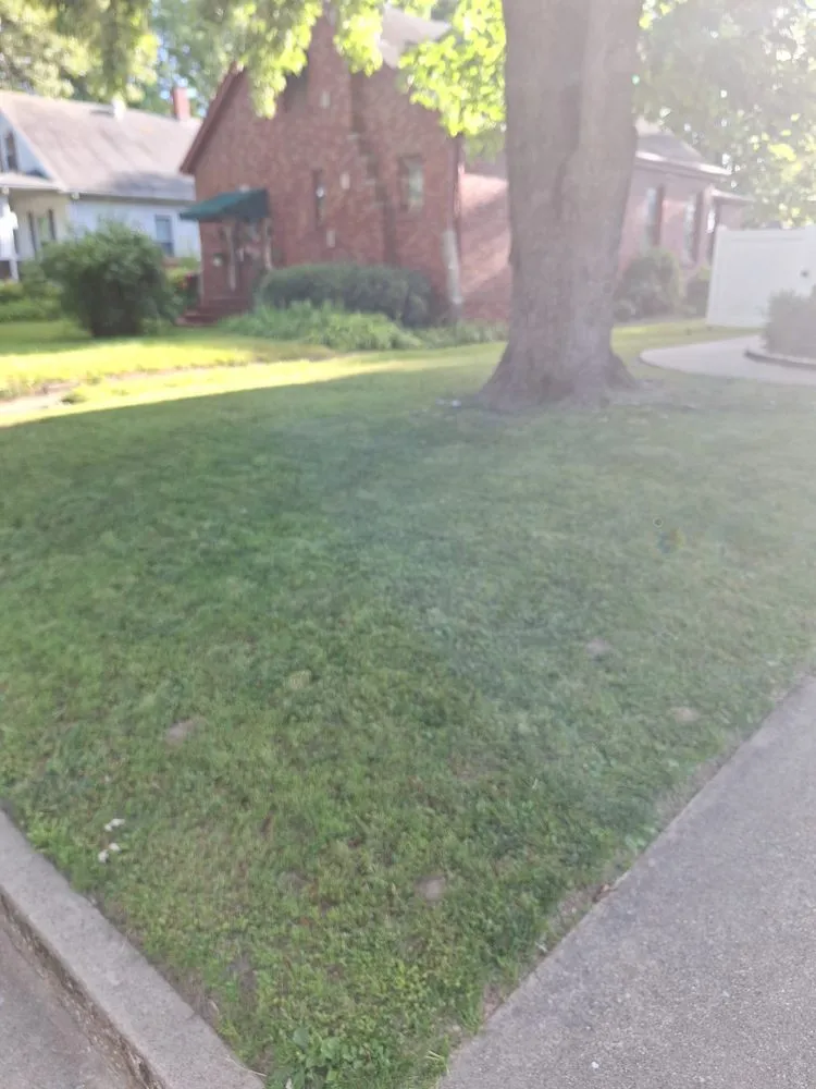 Professional landscape installation experts serving East Alton, IL - Delicate Lawncare