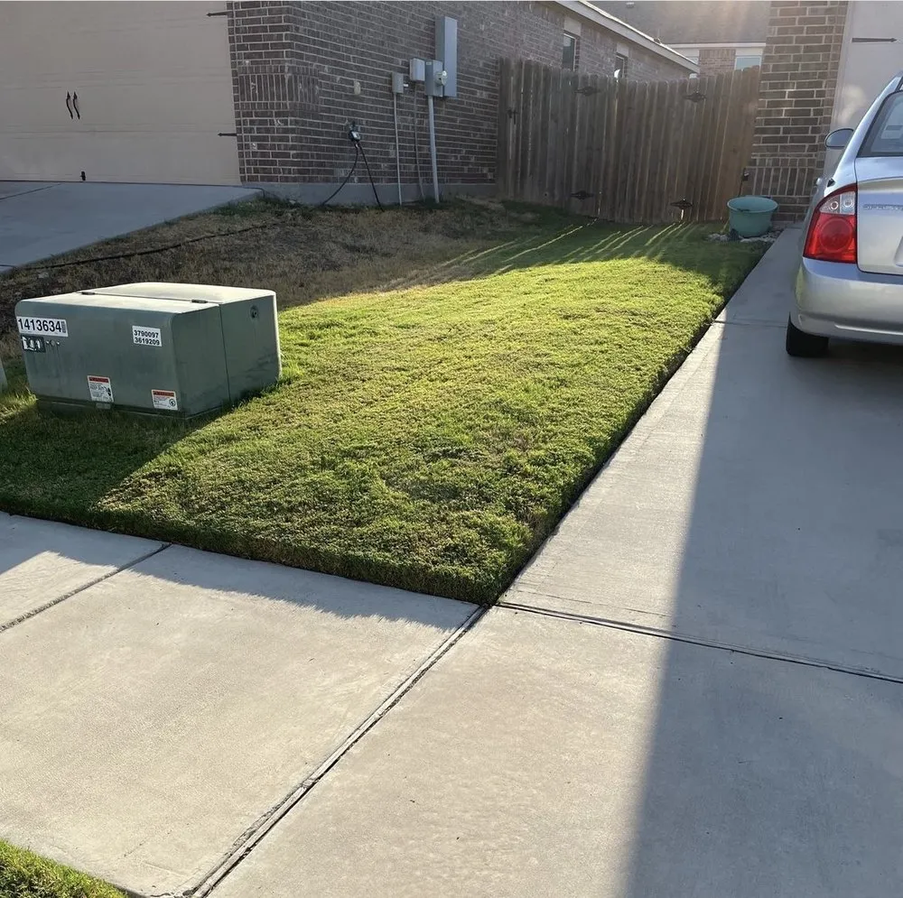Reliable yard cleanup service in Fort Worth, TX by Delight Landscape