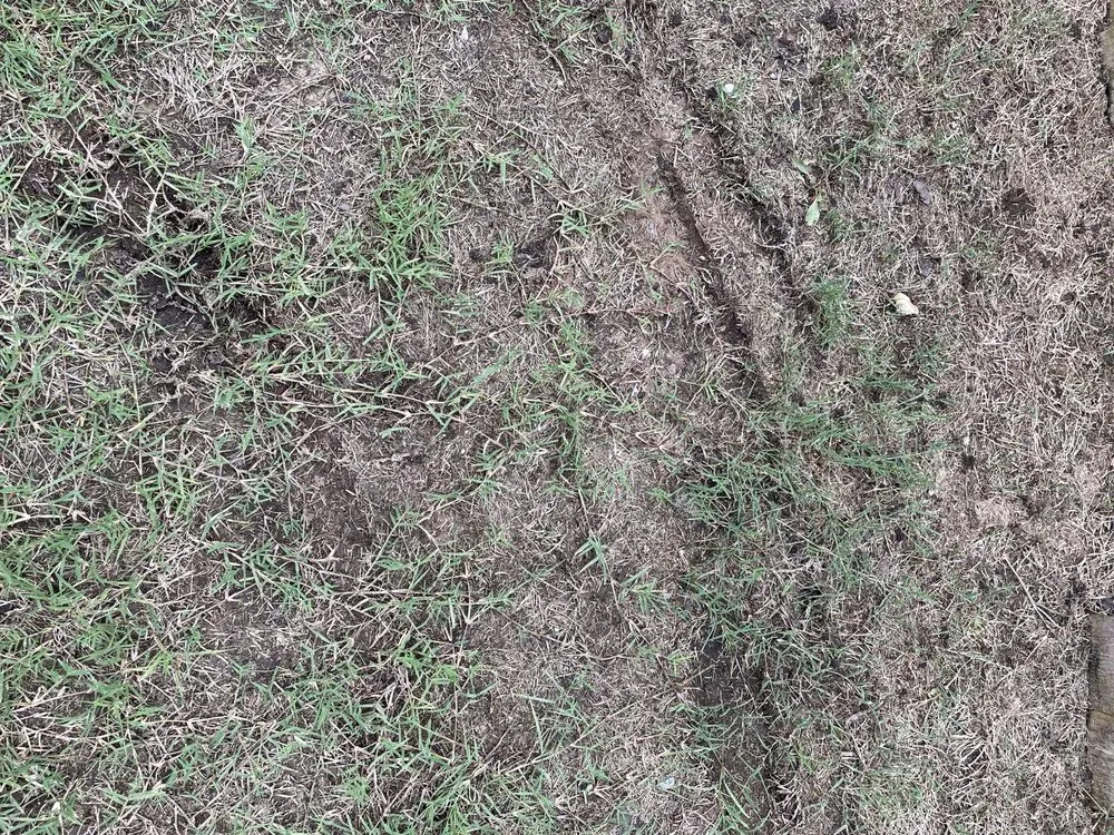 Local landscape installation in Fort Worth, TX - Delight Landscape