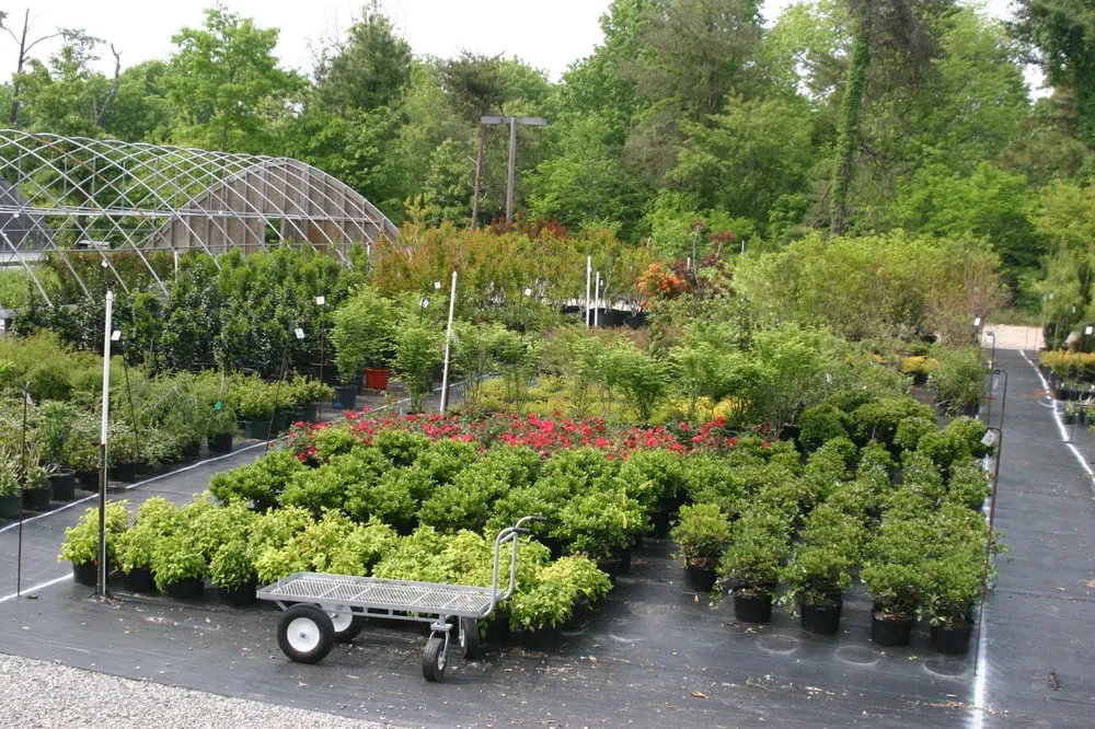 Professional landscape installation in Williamsburg, VA by Delightful Gardens Landscape Company