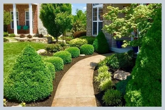Local residential landscaping experts serving Green Bay, WI - Delightful Landscaping
