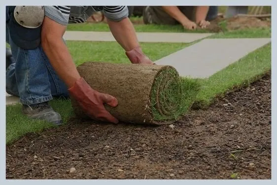 Custom landscaping services for year-round maintenance in Green Bay, WI by Delightful Landscaping