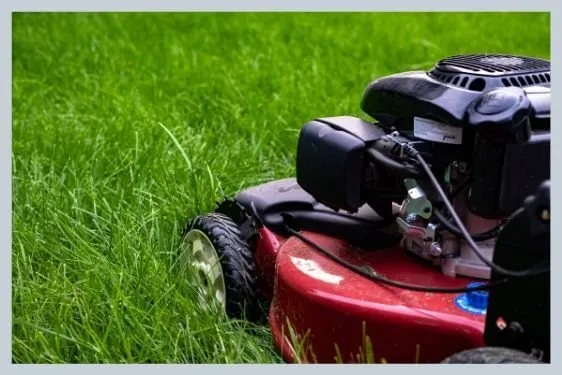 Local garden landscaping for year-round maintenance across Green Bay, WI - Delightful Landscaping