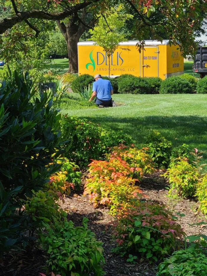 Top-rated landscaping services in Pennington, NJ by DELIS Landscaping