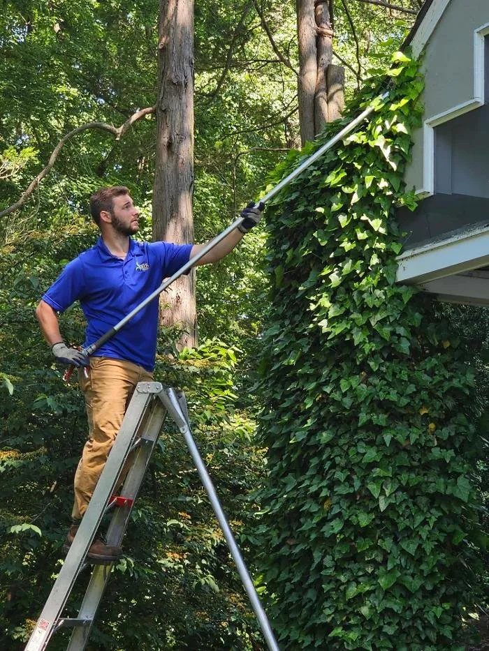 Reliable outdoor landscaping in Pennington, NJ by DELIS Landscaping