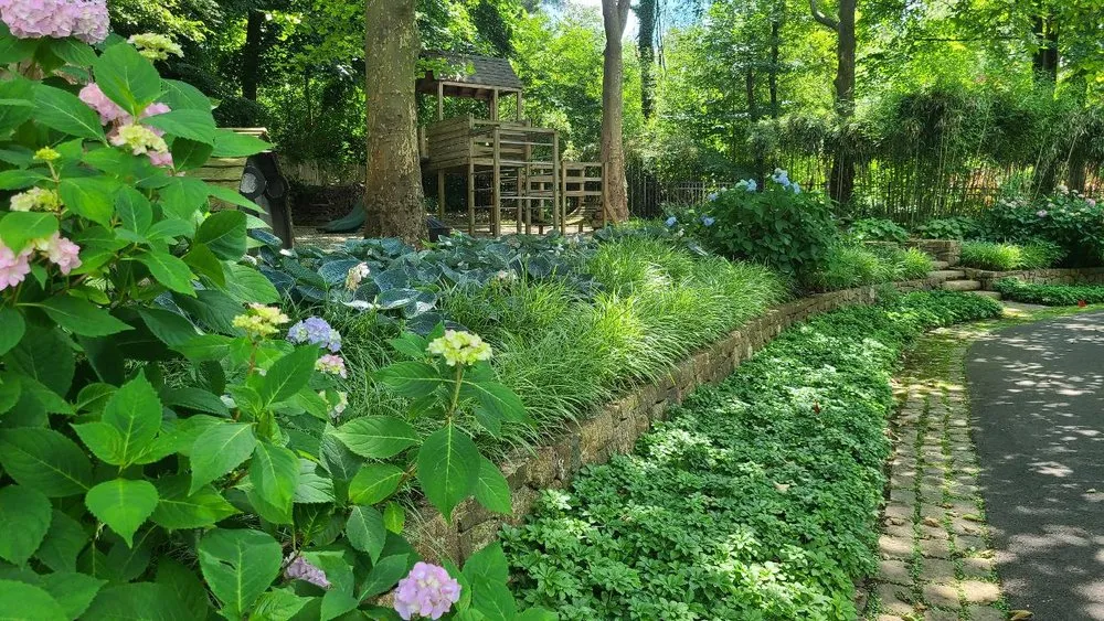 Expert lawn mowing service in Pennington, NJ - DELIS Landscaping