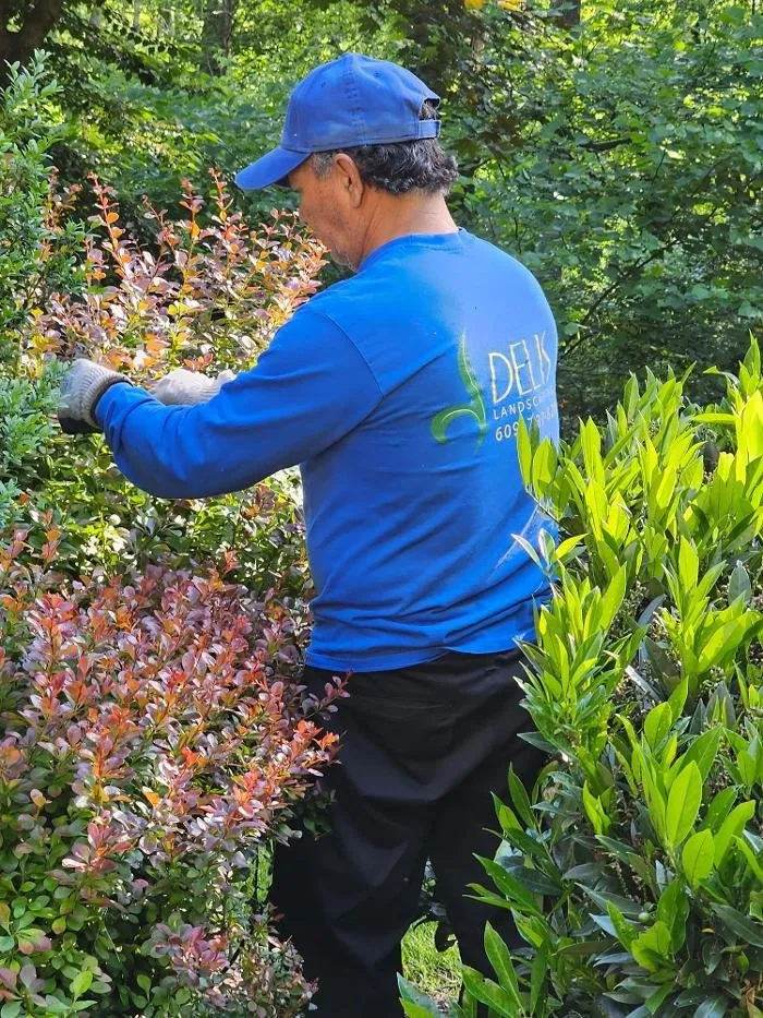 Local lawn care service in Pennington, NJ by DELIS Landscaping