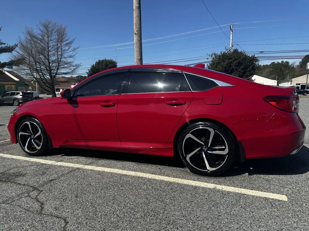 Affordable yard cleanup service experts serving Fruitland, MD - Delivery Detail