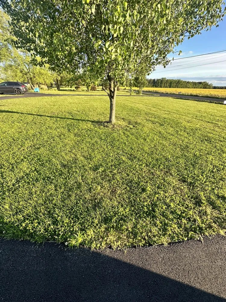 Professional landscaping services in Fruitland, MD - Delivery Detail