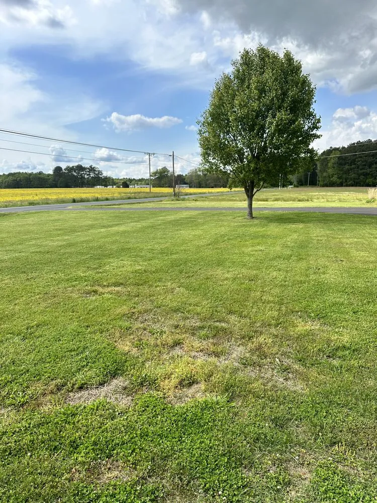 Expert lawn care service experts serving Fruitland, MD - Delivery Detail