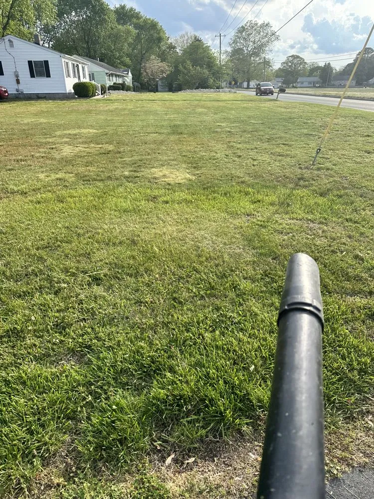 Affordable landscape installation in Fruitland, MD - Delivery Detail