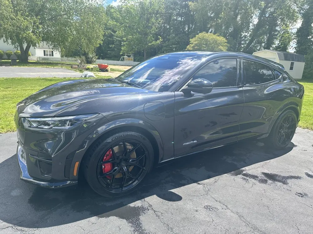 Reliable yard cleanup service for outdoor upgrades across Fruitland, MD - Delivery Detail