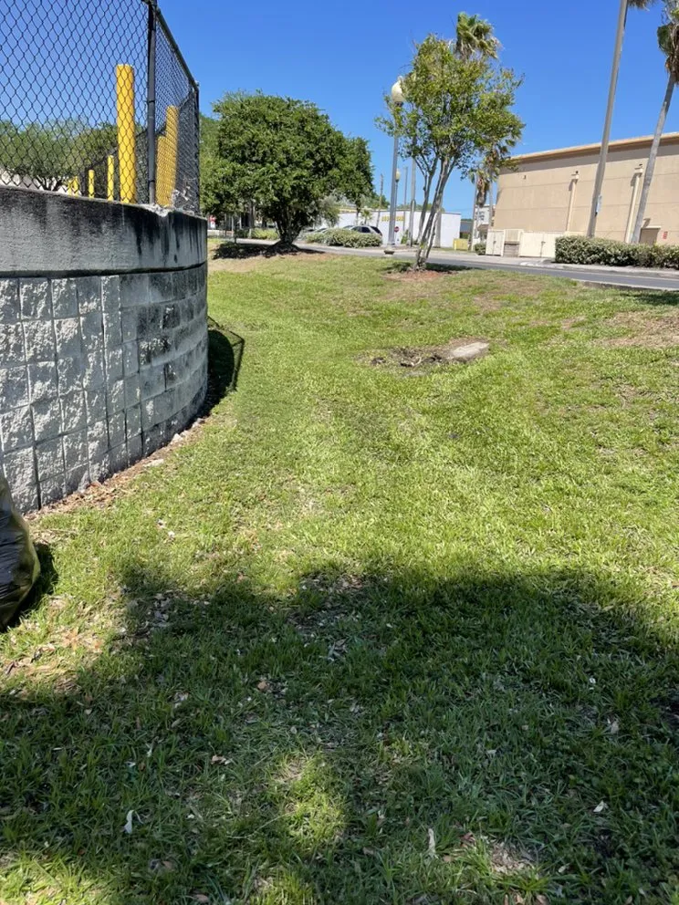 Expert garden landscaping for outdoor upgrades in New Port Richey, FL by Dellavecchia Property Maintenance