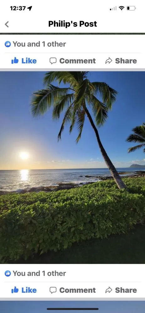 Trusted landscaping services in New Port Richey, FL - Dellavecchia Property Maintenance