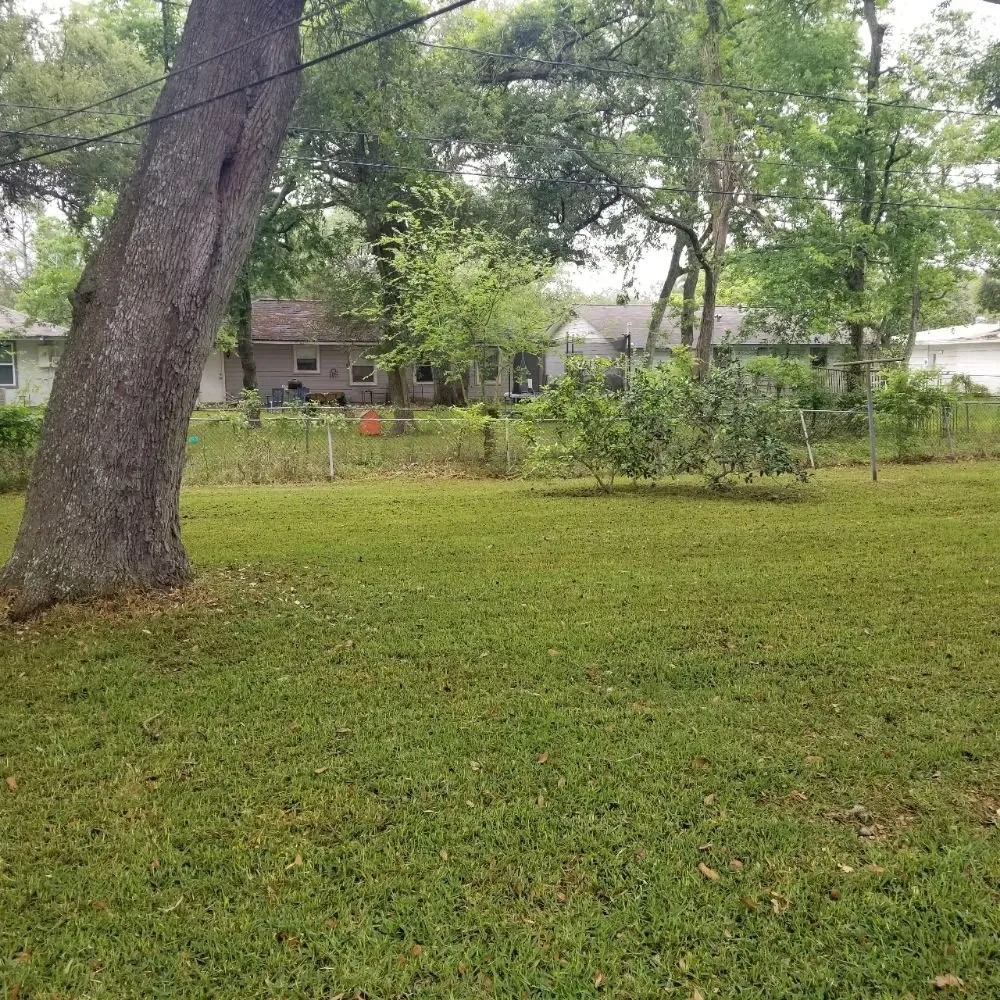 Affordable yard cleanup service near you across Richwood, TX - Dellers Lawn Care