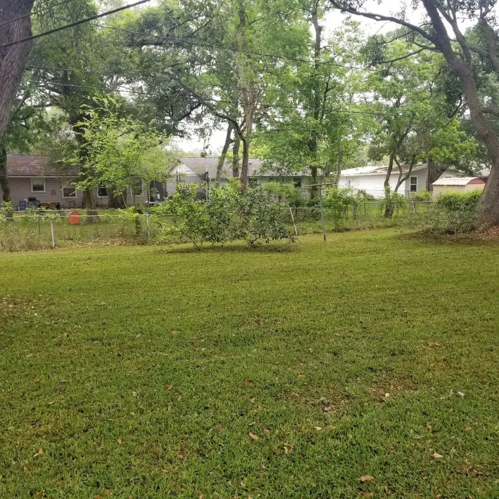 Expert landscape design in Richwood, TX - Dellers Lawn Care