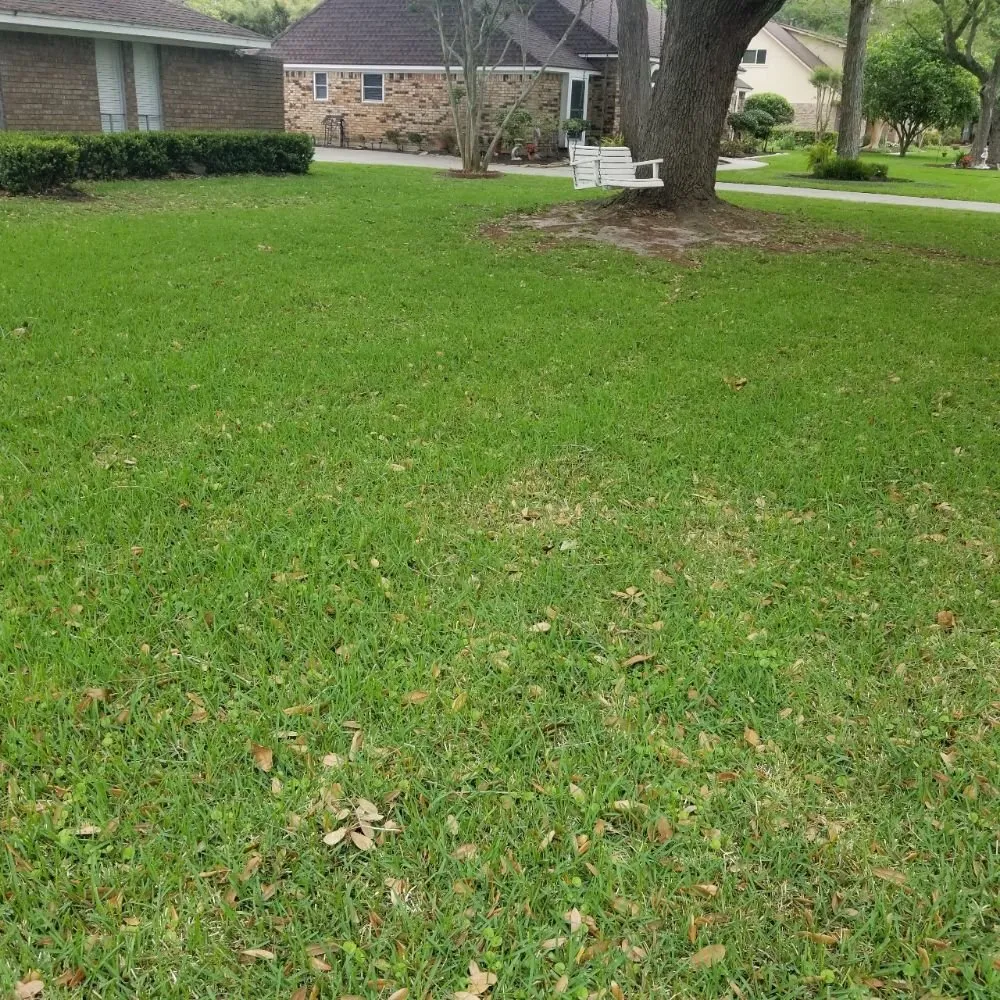 Reliable lawn care service in Richwood, TX - Dellers Lawn Care