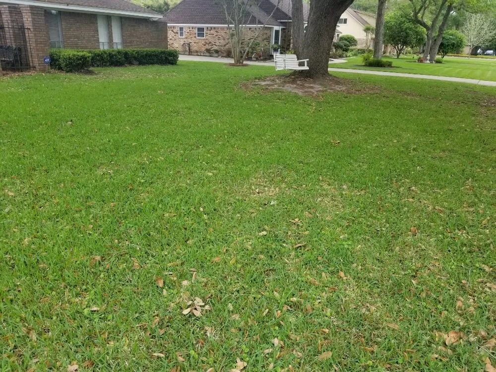 Reliable yard cleanup service in Richwood, TX - Dellers Lawn Care