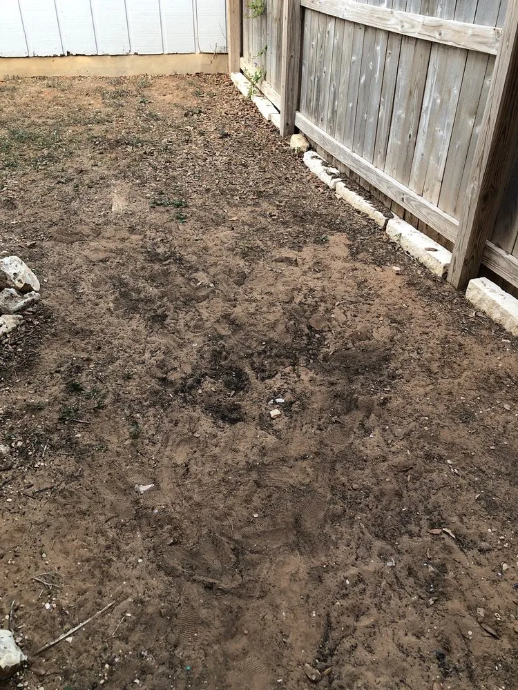 Top-rated landscaping services in San Antonio, TX by Dell’s Grass Farm